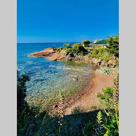 Antheor - Vue Exceptionnelle - Refait A Neuf 4 Couchages Apartment Saint-Raphael  Luaran gambar