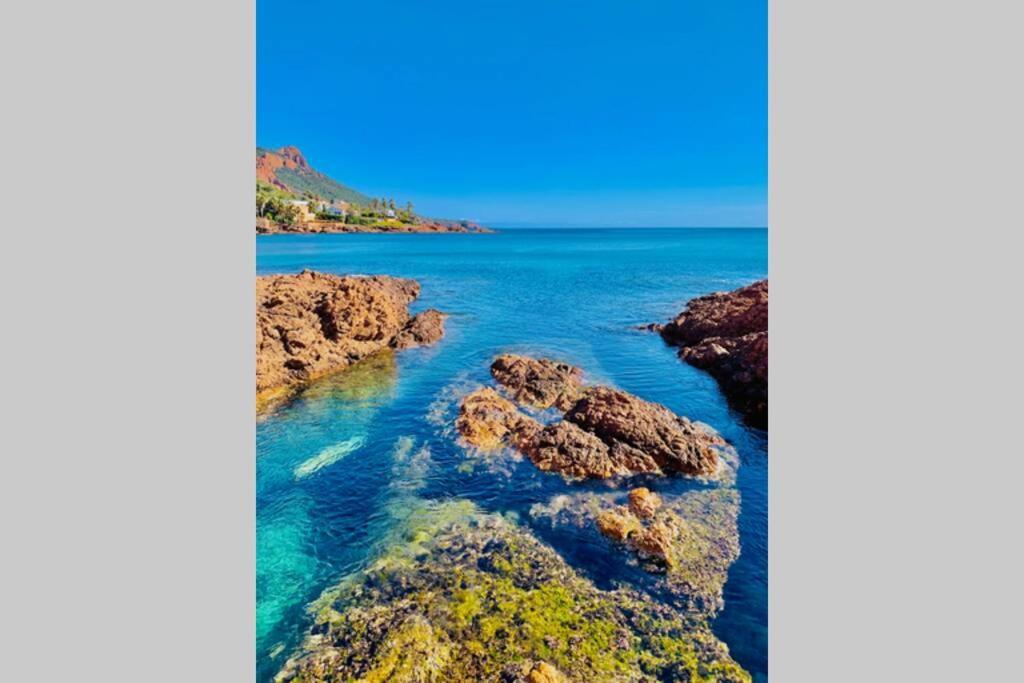 Antheor - Vue Exceptionnelle - Refait A Neuf 4 Couchages Apartment Saint-Raphael  Luaran gambar